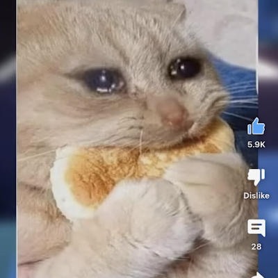 CatzNroses675's profile picture. call me Catz, Roses, Etc. I like Sonic the hedgehog,Bendy, Fallout,Bioshock, yokaiwatch, overwatch, MHA, borderlands & Murder Drones. ✨️artist✨️