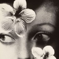 َ (@vremsa) Twitter profile photo