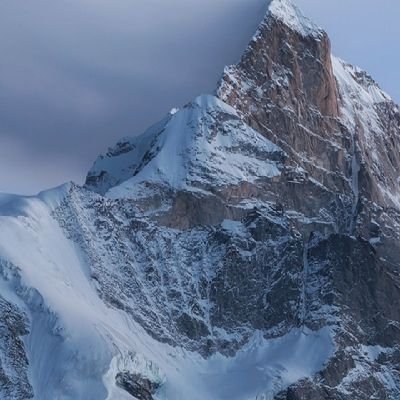 bo_jian20978's profile picture. 