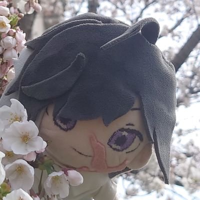utakata_mugen00 Profile Picture