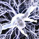 Vernon Prather - @P_TOWN3 - Twitter