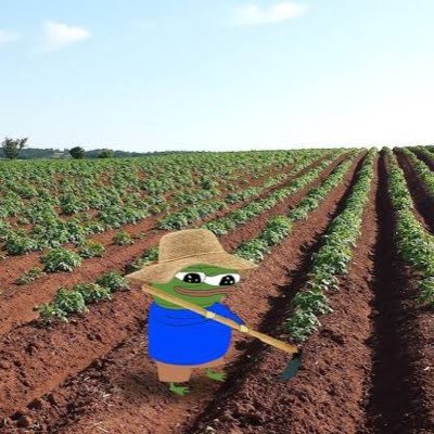 Mamshiekh's profile picture. SEPXBCZU