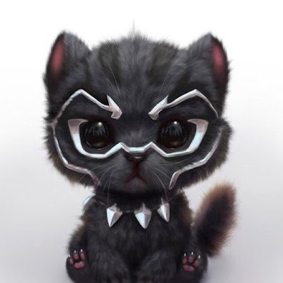 HoNguyn51456908's profile picture. 