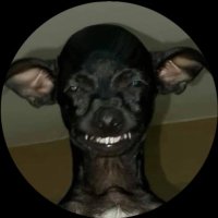 abb$ (@aabbyo) 's Twitter Profile Photo abb$ (@aabbyo) 's Twitter Profile Photo