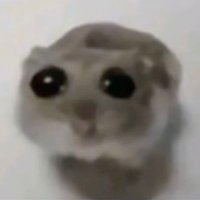 想哭轰🥹 (@chibab0m) 's Twitter Profile