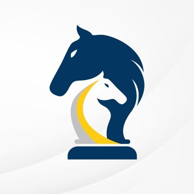 2Stallions's profile picture. 2Stallions works with our clients to optimize their digital needs - website development, SEO, SEM, etc - from concept to implementation to maintenance.