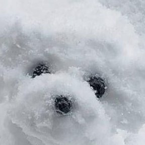 ruuuuu0909's profile picture. 🍬
07