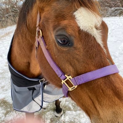 Dixie0108151360's profile picture. 