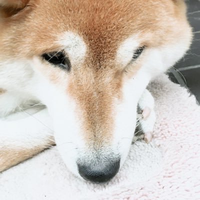 北大B1 総理