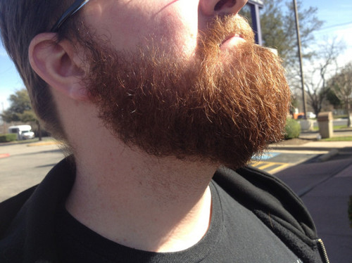 I am but the humble (golden)beard of Jack Pattillo.