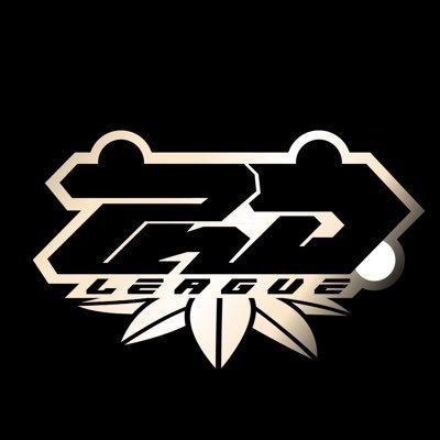 PNDLeague Profile Picture