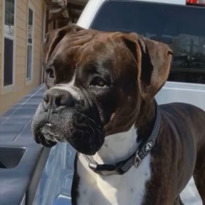 Mrroccooo's profile picture. 