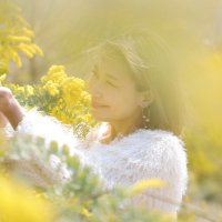 chiro (@chirol_song444) 's Twitter Profile Photo chiro (@chirol_song444) 's Twitter Profile Photo