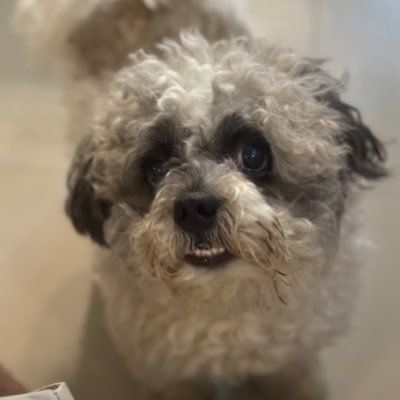 jepoyyyyyyyy's profile picture. 