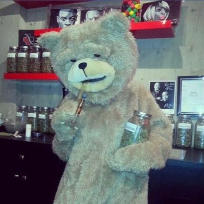 reala_bear Profile Picture