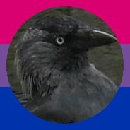 Corvids Daily(@DailyCorvids) 's Twitter Profileg