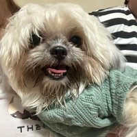 Pogz Taker (@jrm1097) 's Twitter Profile