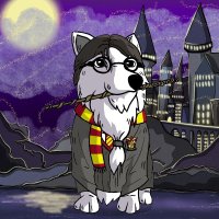 DogwartzSolana(@DogwartzSolana) 's Twitter Profile Photo