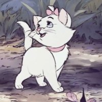 Je’s chit chat 🗯️🥣🐠🥗 (@rasberyii) 's Twitter Profile