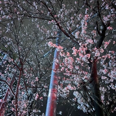 ゆうみさんのプロフィール画像