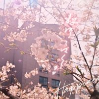 さくら✿24日連絡× (@alka_rs) 's Twitter Profile