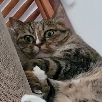 _ilove_52's profile picture. 