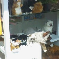 調子 (@nbfaqldnuvdcd0o) 's Twitter Profile Photo