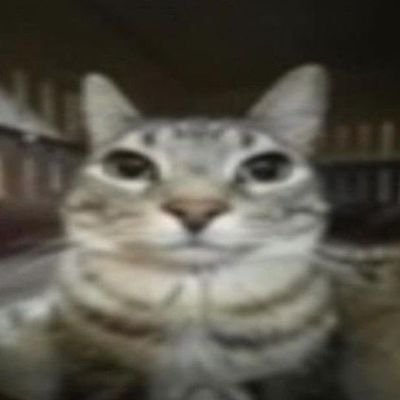 Jijka14's profile picture. stass 24 y.o.