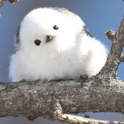 MDsLn8nKvf98630's profile picture. 懸賞やサンプル、お得情報大好き♥️
当選したものは、Xにてポストします(*^^*)
色々応募してみてます☆💜🥳