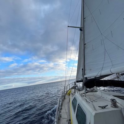 santindn's profile picture. 