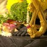 AyushVerma1's profile picture. दासो हम रघुनाथास्य 🙏🏽