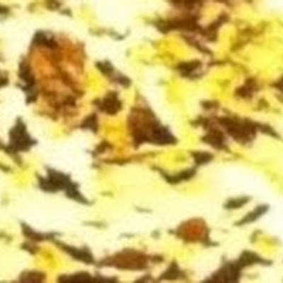 slackkejakke's profile picture. Archivist/Mentalist