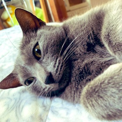 ryry_code's profile picture. Reactで開発したくて、勉強中です！