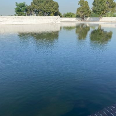 jurpreet44's profile picture. Forensic Medicine and Toxicology