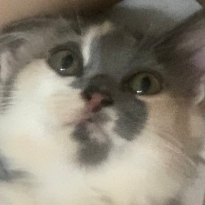 nasiudukjaehyun's profile picture. tulang punggung seluruh biseksual bandung