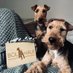 Bolhaus Terriers (@ChukkaBennett) Twitter profile photo