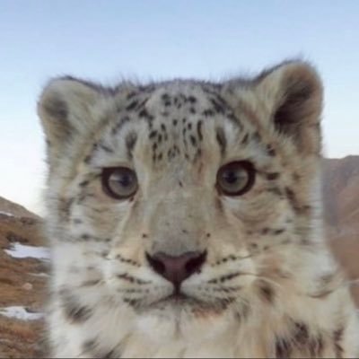 ThyroidEnjoyer's profile picture. Learn at first concentration without effort; Transform work into play; make every yoke that you have accepted easy and every burden you carry light