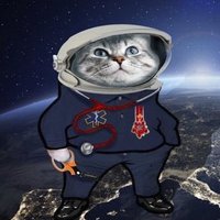 David (@fezman92) 's Twitter Profile