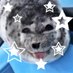 sealsof 🌻🔆🏴 (@sealsof) Twitter profile photo sealsof 🌻🔆🏴 (@sealsof) Twitter profile photo