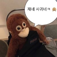 원숭이 (@monkey2024_) 's Twitter Profile