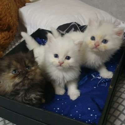 vZG3g5L8Z026813's profile picture. 