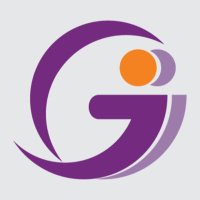 Georgian Democracy Initiative (GDI)(@GeoDemIn) 's Twitter Profile Photo