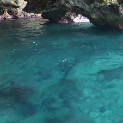 _Total_Recall_'s profile picture. #Peace
Italian, 40 yo, workaholic, history passionate. 
I also love economics and finance.
#Bitcoin #Cronos believer