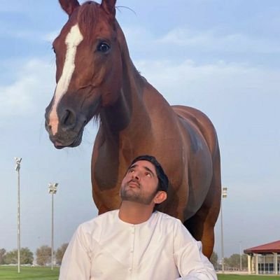 Crown Prince of Dubai since 2008. I am previously served as Deputy Ruler of Dubai from 2006 to 2008.