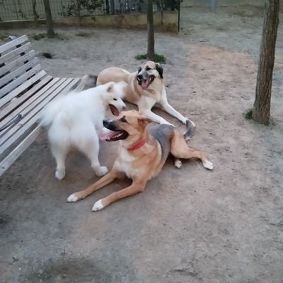 karatopraktan84's profile picture. 