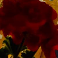 MariaX (@icomarir) 's Twitter Profile