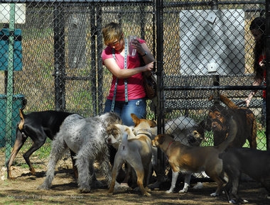 Fultondale Bark Park consists of two parks for large and small dogs to run and play.  Located off of Stouts Rd., in Fultondale, Ala., behind the Children's Park