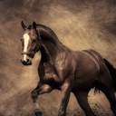 sara saadi - @Sara1Saadi - Twitter