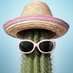 Cactus 🌵 (@cactusbasha) Twitter profile photo Cactus 🌵 (@cactusbasha) Twitter profile photo
