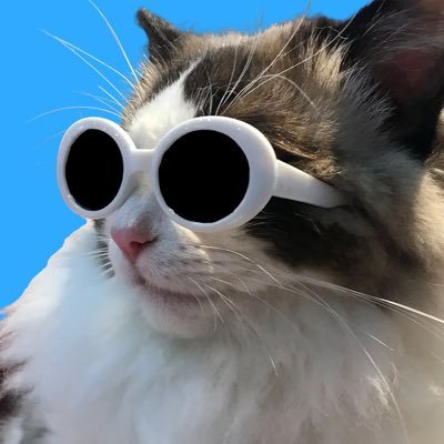 Meow how $cool are you? https://t.co/LU4kx4qb4J
